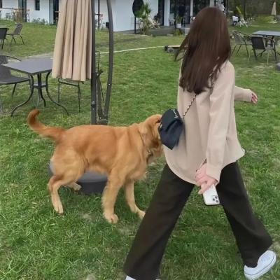 锦绣人生